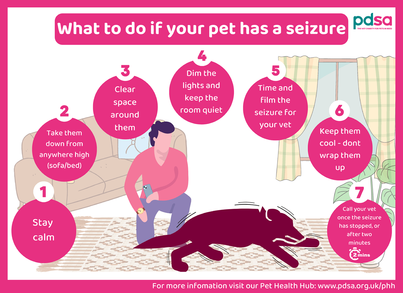 What to do if your dog has a seizure